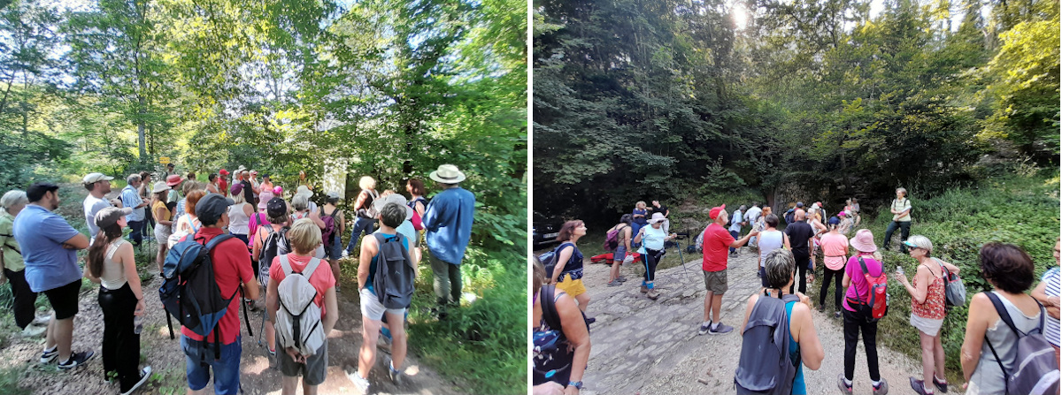 val suzon 1 viste foret