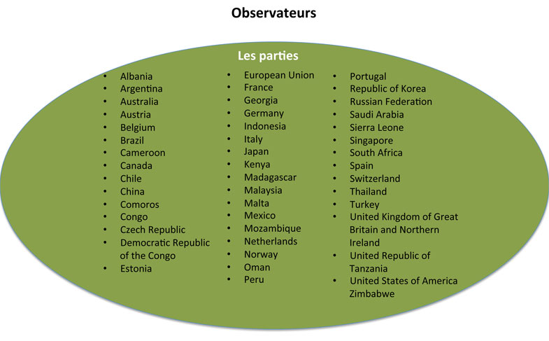 compte rendu comite plantes geneve 2017 participants 00