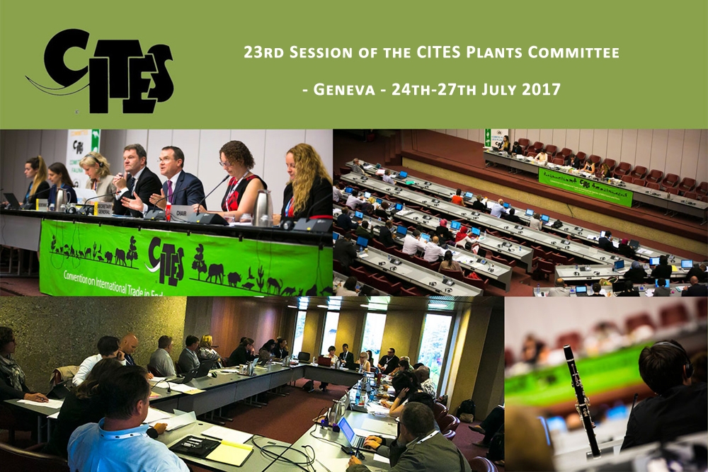 23rd Session of the CITES Plants Committee - Geneva - 24th-27th July 2017